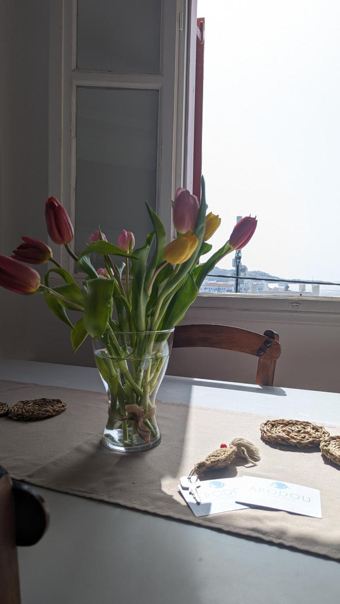 Arodou Studio And Apartment Mykonos Town Kültér fotó